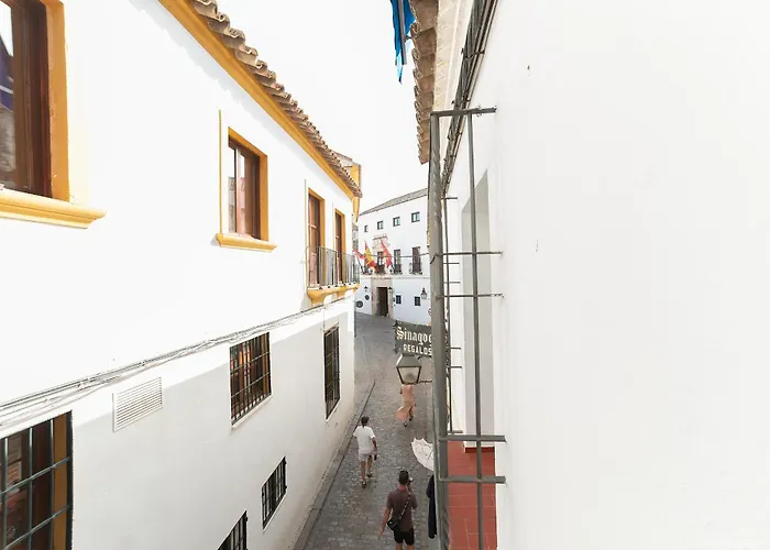 Levi Centro * Córdoba