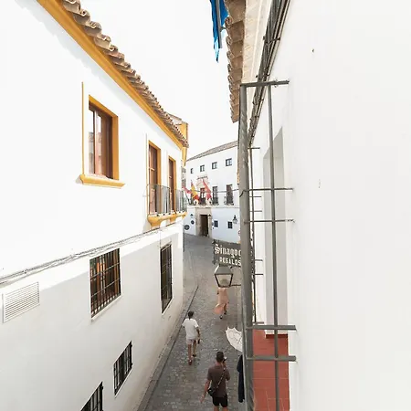 Levi Centro * Cordoba